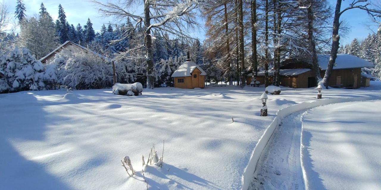 جوراردُميه Chalet De Martimprey - Chalets - Gites - Chambres D' Hotes Et Spas المظهر الخارجي الصورة