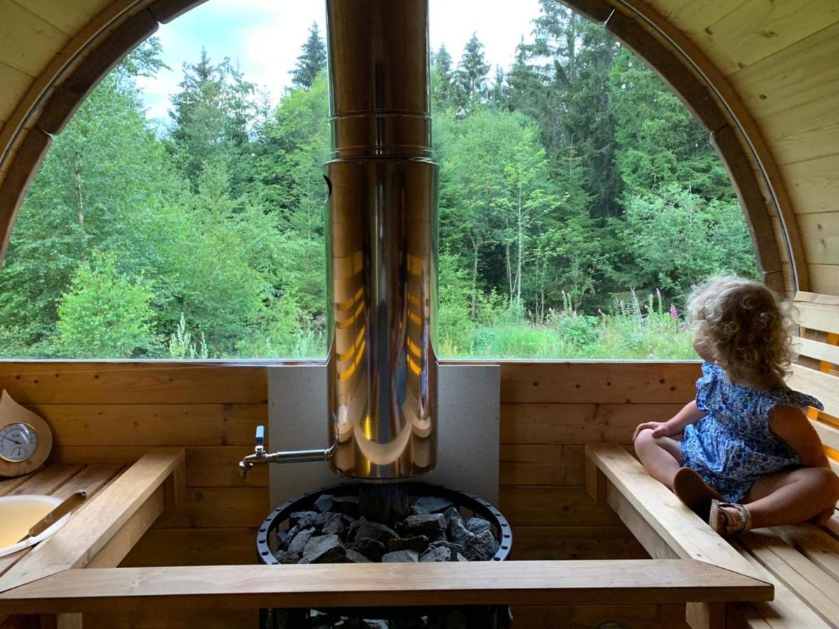 جوراردُميه Chalet De Martimprey - Chalets - Gites - Chambres D' Hotes Et Spas المظهر الخارجي الصورة
