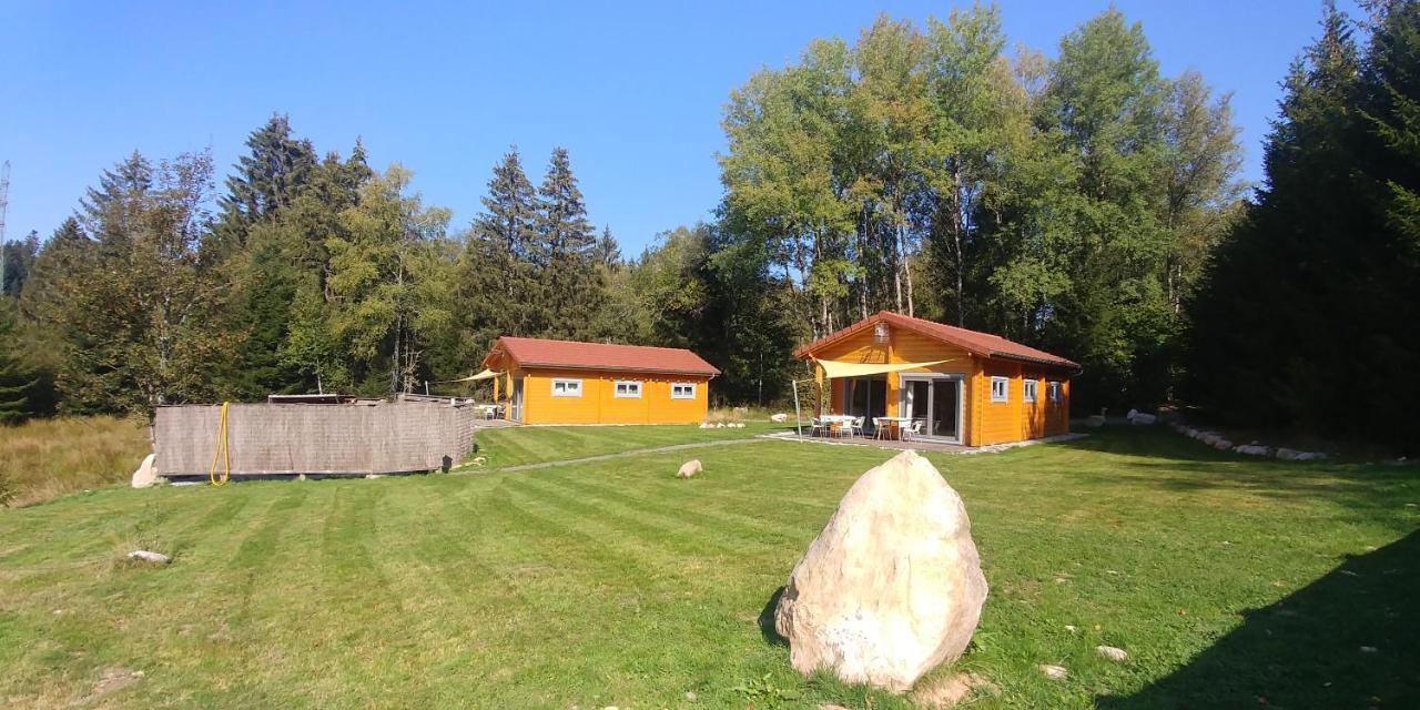 جوراردُميه Chalet De Martimprey - Chalets - Gites - Chambres D' Hotes Et Spas المظهر الخارجي الصورة
